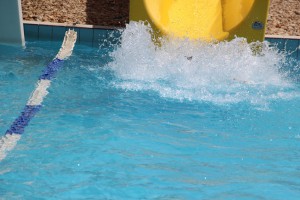 IMG 0423